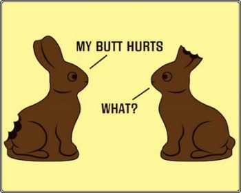 Chocolate Bunny Says What?