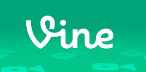 Vine Logo