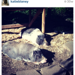 3 Things to Consider for Instagram Promo